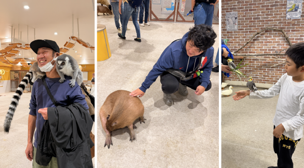 カピバラやワオキツネザルに触れ合う様子